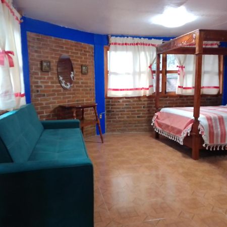 Coyoacan Departamento Tipo Colonial Kota Meksiko Bagian luar foto