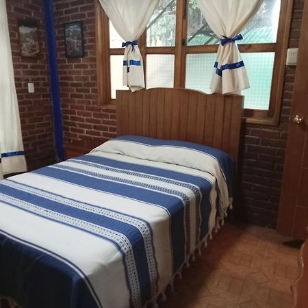 Coyoacan Departamento Tipo Colonial Kota Meksiko Bagian luar foto