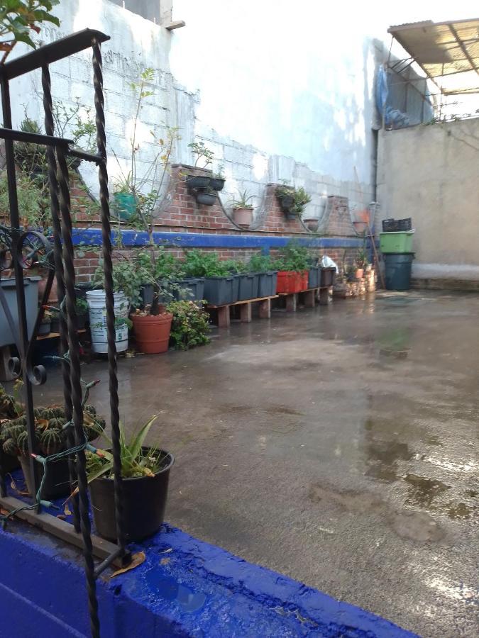 Coyoacan Departamento Tipo Colonial Kota Meksiko Bagian luar foto