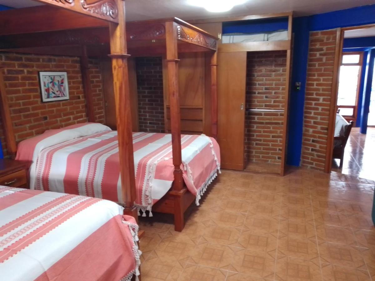 Coyoacan Departamento Tipo Colonial Kota Meksiko Bagian luar foto