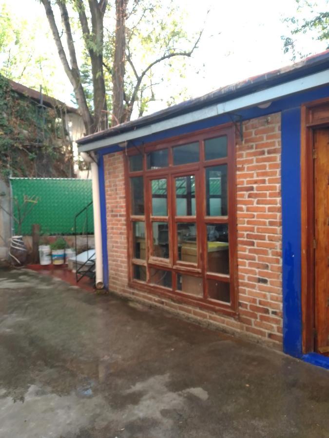 Coyoacan Departamento Tipo Colonial Kota Meksiko Bagian luar foto