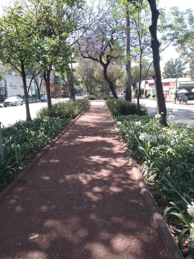 Coyoacan Departamento Tipo Colonial Kota Meksiko Bagian luar foto