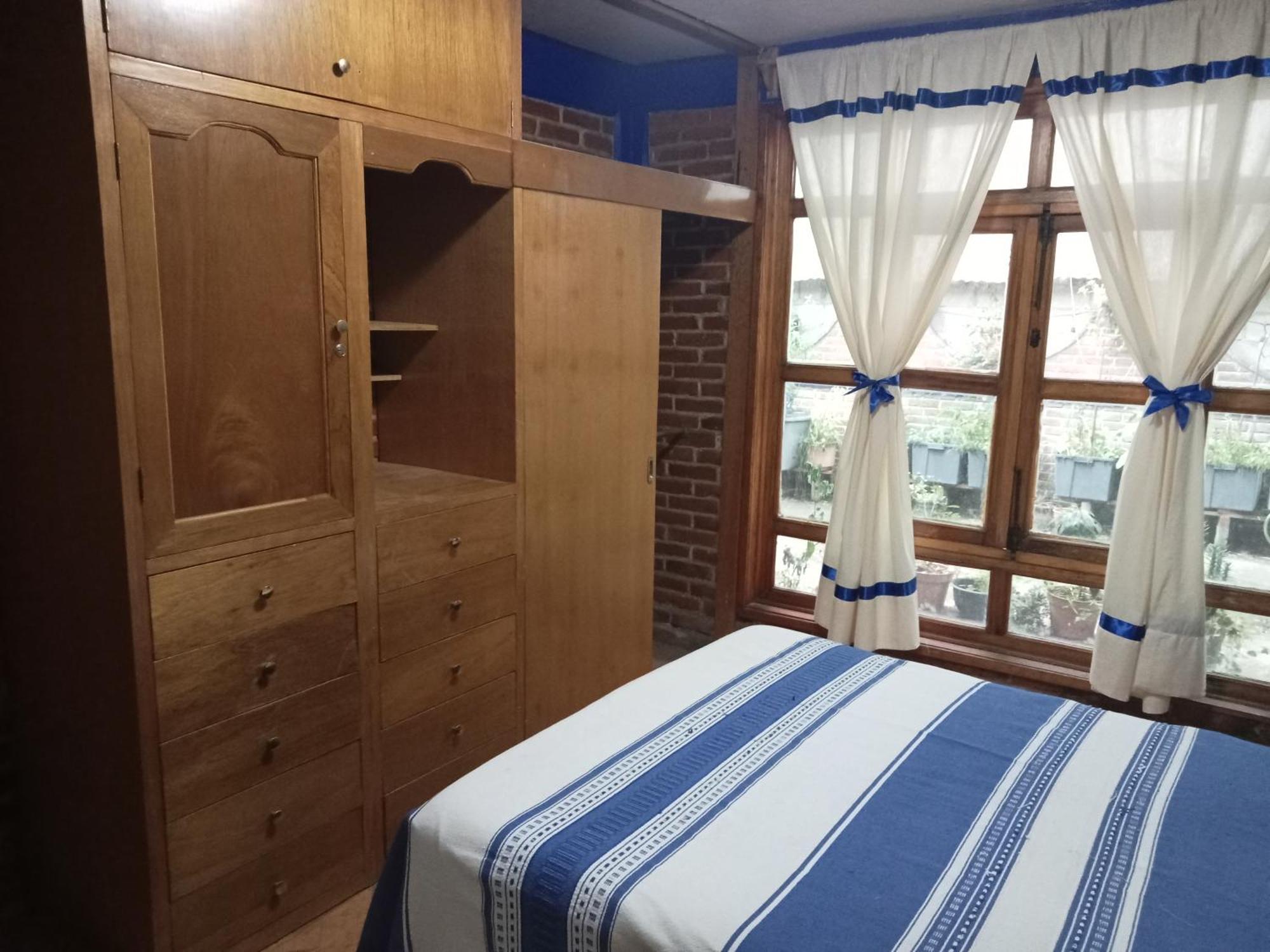 Coyoacan Departamento Tipo Colonial Kota Meksiko Bagian luar foto